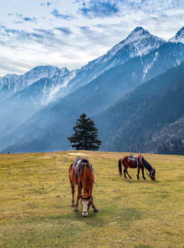 Aru Valley